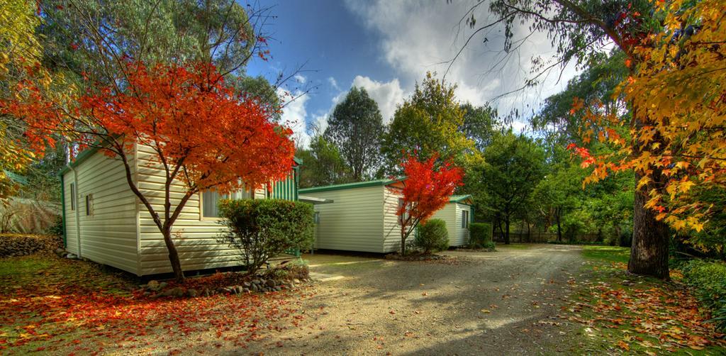 Riverview Caravan Park Porepunkah Exterior foto